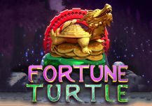 Fortune Turtle