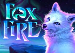 General information about Fox Fire slot