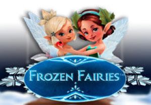 General information about Frozen Fairies slot