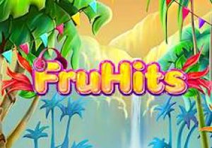 General information about FruHits slot