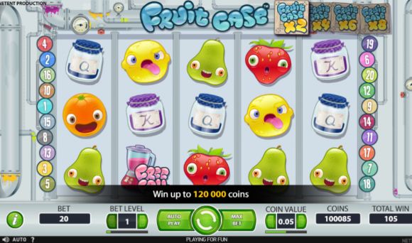 Fruit Case