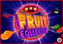 Fruit Collector