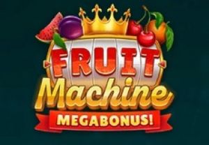 General information about Fruit Machine Mega Bonus slot