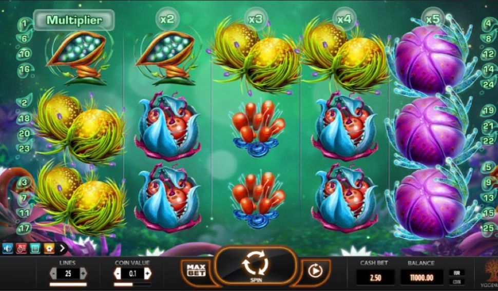 Fruitoids
