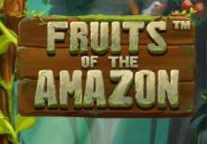 General information about Fruits of the Amazon slot