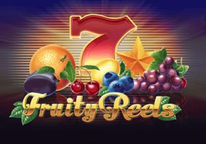 General information about Fruity Reels slot