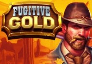 General information about Fugitive Gold slot