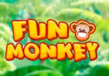 Fun Monkey