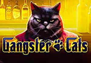 General information about Gangster Cats slot