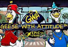 Geese with Attitude