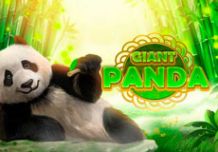 Giant Panda