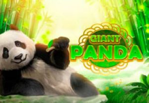 General information about Giant Panda slot