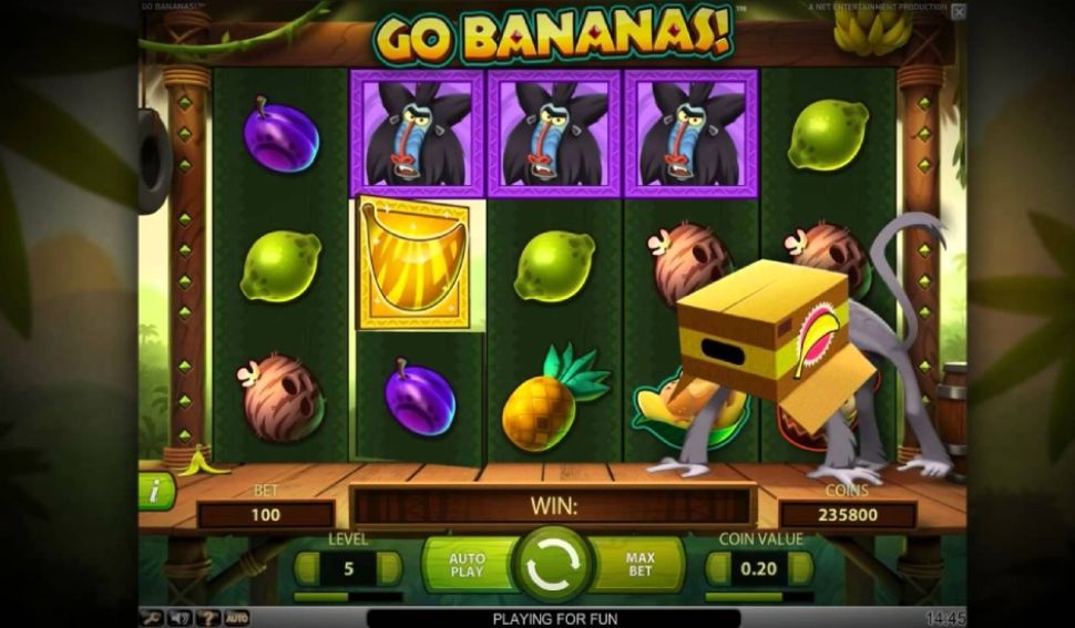 Go Bananas!