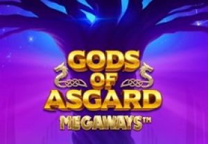 General information about Gods of Asgard Megaways slot