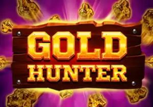 General information about Gold Hunter slot