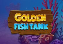 Golden Fish Tank