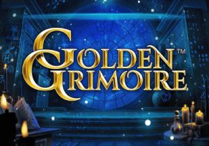 General information about Golden Grimoire slot