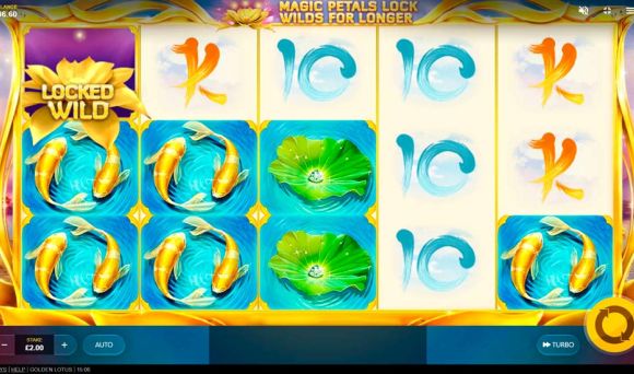 Golden Lotus