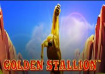 Golden Stallion
