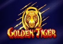 Golden Tiger