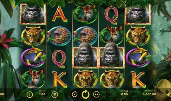 Gorilla Kingdom