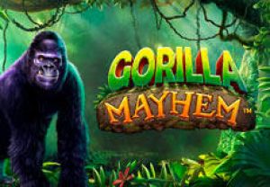 General information about Gorilla Mayhem slot