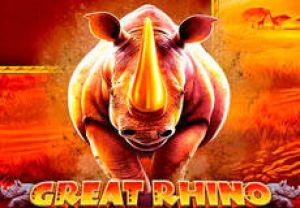 General information about Great Rhino slot