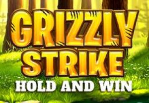 General information about Grizzly Strike Hold and Win slot