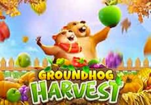 General information about Groundhog Harvest slot