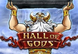 General information about Hall Of Gods slot