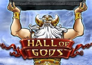 General information about Hall Of Gods slot
