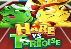 Hare vs Tortoise