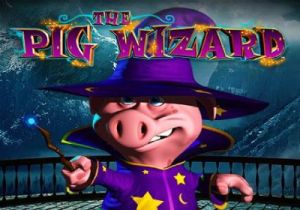 General information about The Pig Wizard slot