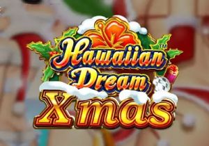 General information about Hawaiian Dream Xmas slot