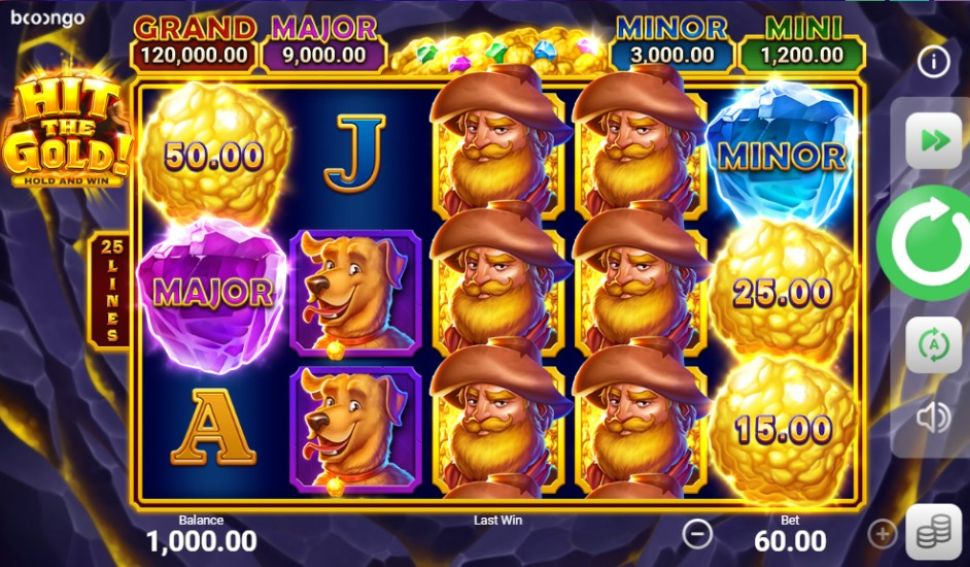 Hit the Gold! Hold and Win
