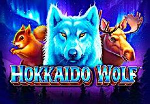 General information about Hokkaido Wolf slot