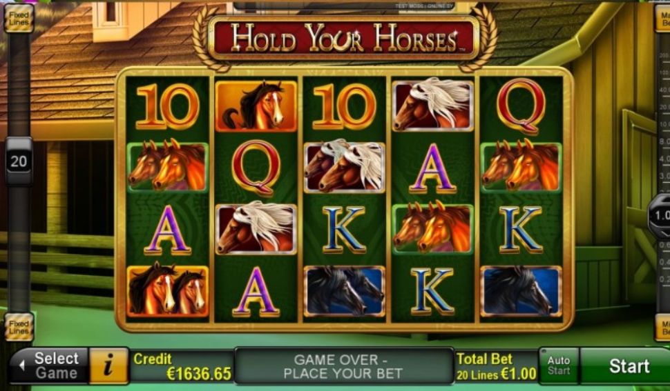 Hold Your Horses