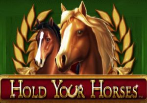 General information about Hold Your Horses slot