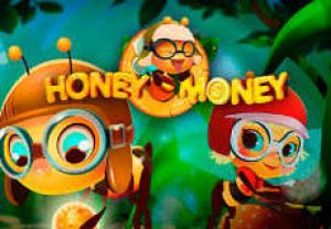 General information about Honey Money slot