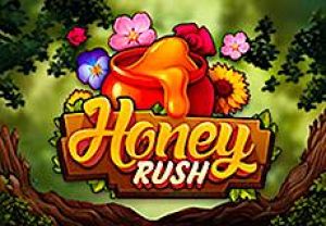 General information about Honey Rush slot