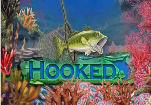 General information about Hooked slot