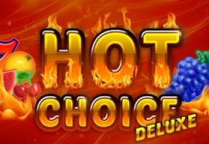 General information about Hot Choice Deluxe slot