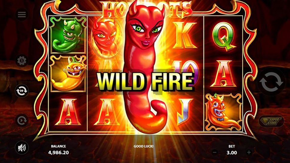 Hot Pots Slot - Wild fire