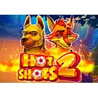 hot shots 2 slot