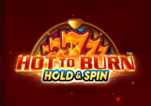 General information about Hot to Burn Hold & Spin slot