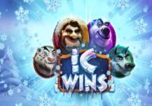 IC Wins 