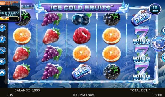 Ice Cold Fruits