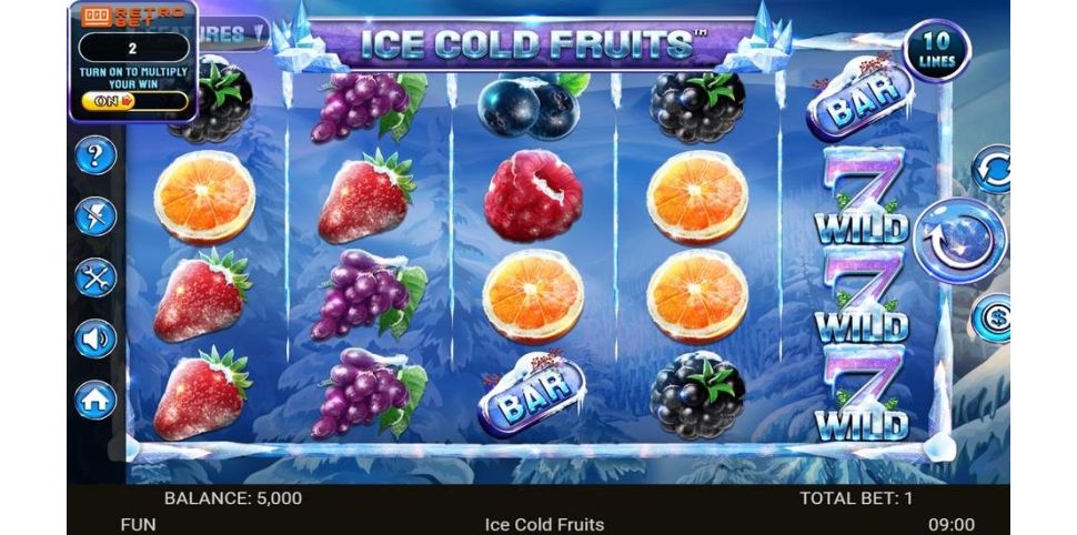 Ice Cold Fruits