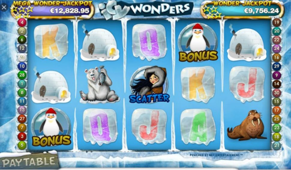 Icy Wonders