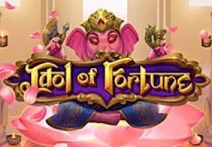 General information about Idol of Fortune slot